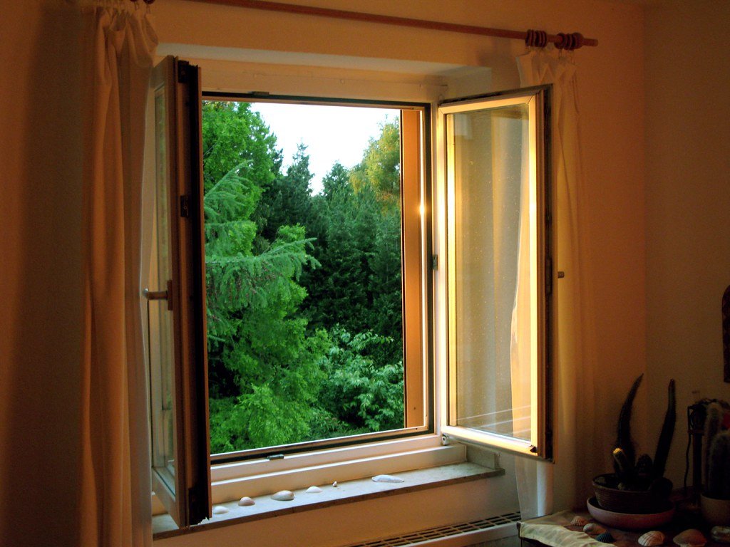 Fenêtre en bois naturel – Alternative écologique au PVC pour maison en Lorraine